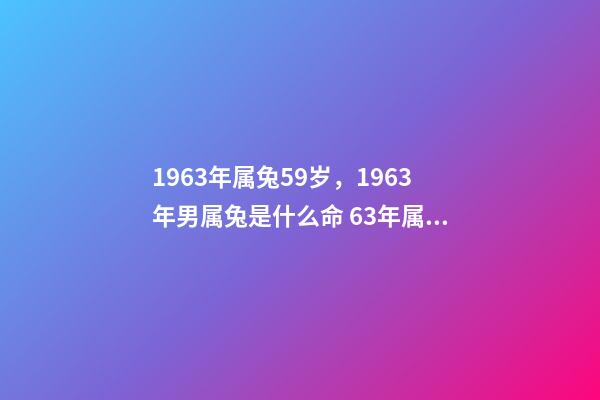 1963年属兔59岁，1963年男属兔是什么命 63年属兔的2022年的运势，63年属兔2023年运程及运势-第1张-观点-玄机派